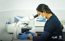 Operativo contra el tr&aacute;fico y maltrato animal