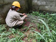 Proyectos urban&iacute;sticos tienen que respetar la fauna silvestre