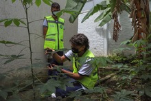 Florece un proyecto transversal e integrador gestado en tiempos de pandemia