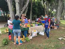 Progr&aacute;mese con los mercados campesinos en la Sultana del Valle y sus corregimientos 