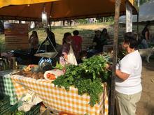 Progr&aacute;mese con los mercados campesinos en la Sultana del Valle y sus corregimientos 