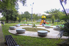 Una Cali m&aacute;s sostenible y verde, la gran apuesta de nuestro tiempo