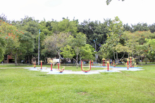 Una Cali m&aacute;s sostenible y verde, la gran apuesta de nuestro tiempo