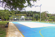 Una Cali m&aacute;s sostenible y verde, la gran apuesta de nuestro tiempo