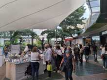 Primer &lsquo;D&iacute;a sin IVA&rsquo; de 2022 avanza positivamente para la econom&iacute;a de cale&ntilde;os y cale&ntilde;as