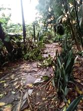 Cierran Ecoparque P&iacute;sanos por afectaciones arb&oacute;reas