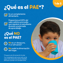 Infograf&iacute;a - Qu&eacute; es el PAE
