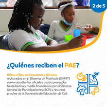Infograf&iacute;a - Quienes reciben el PAE