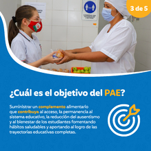 Infograf&iacute;a - Cual es el objetivo del PAE