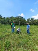 En cintura los agresores al medio ambiente urbano