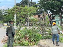 En cintura los agresores al medio ambiente urbano