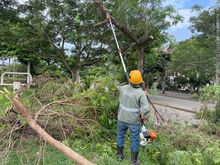 En cintura los agresores al medio ambiente urbano