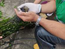 En cintura los agresores al medio ambiente urbano