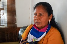 &ldquo;Queremos tener en la ciudad una representaci&oacute;n de la Cali ind&iacute;gena&rdquo;: Ronald Mayorga