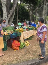 Este s&aacute;bado, apoyemos los mercados campesinos en Cali y sus corregimientos