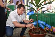 Cali comienza a &lsquo;tejer sue&ntilde;os&rsquo; para trabajar por un abordaje integral del consumo de sustancias psicoactivas