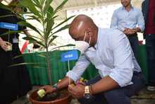 Cali comienza a &lsquo;tejer sue&ntilde;os&rsquo; para trabajar por un abordaje integral del consumo de sustancias psicoactivas