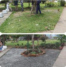 Renace el parque de los &aacute;rboles en Llano Verde