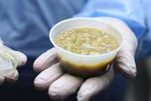 Estudiantes calificaron positivamente la alimentaci&oacute;n del programa &lsquo;Todas y Todos a Estudiar&rsquo;, en Univalle