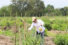 Huertas Urbanas del Jarill&oacute;n del r&iacute;o Cauca impresionaron a delegados de ONU H&aacute;bitat