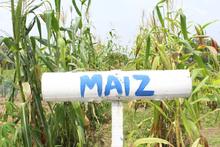 Huertas Urbanas del Jarill&oacute;n del r&iacute;o Cauca impresionaron a delegados de ONU H&aacute;bitat