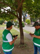Recuperados puntos cr&iacute;ticos de arrojo de residuos