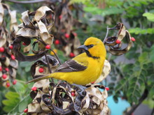 El turismo de naturaleza se impulsa en Expovacaciones 2022