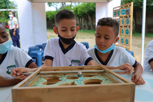 La migraci&oacute;n como eje central de la biodiversidad animal y la especie humana