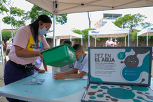 La migraci&oacute;n como eje central de la biodiversidad animal y la especie humana