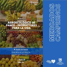 Este fin de semana compra saludable en los mercados campesinos de Cali y sus corregimientos