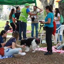 En Colseguros disfrutaron con el Picnic Ambiental del Dagma  
