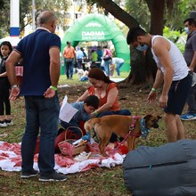 En Colseguros disfrutaron con el Picnic Ambiental del Dagma  