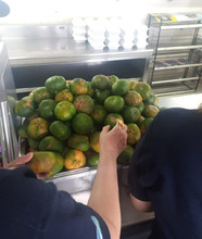 Monitoreo constante al programa &lsquo;Todas y Todos a Estudiar&rsquo;