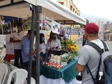 Con velat&oacute;n se clausur&oacute; la tercera versi&oacute;n de &lsquo;Camina San Antonio&rsquo;