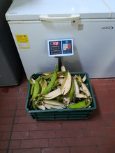 Programa de Alimentaci&oacute;n Escolar adelanta proyecto para el cuidado del medio ambiente