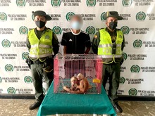 Nueva acci&oacute;n contra el tr&aacute;fico y maltrato animal