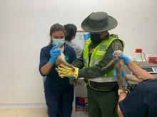 Nueva acci&oacute;n contra el tr&aacute;fico y maltrato animal