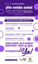 V&iacute;ctimas de agresi&oacute;n mujeres