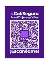 Cali segura para mujeres y ni&ntilde;as: nueva estrategia para la prevenci&oacute;n de la violencia de g&eacute;nero 