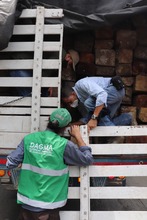 Acci&oacute;n interinstitucional para el control al tr&aacute;fico de especies 