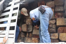 Acci&oacute;n interinstitucional para el control al tr&aacute;fico de especies 