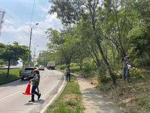 Alcald&iacute;a previene ca&iacute;da de &aacute;rboles en temporada invernal