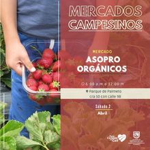 Lleg&oacute; la hora de apostar por lo org&aacute;nico, natural y fresco con nuestros mercados campesinos