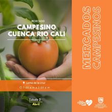 Lleg&oacute; la hora de apostar por lo org&aacute;nico, natural y fresco con nuestros mercados campesinos