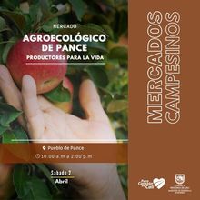 Lleg&oacute; la hora de apostar por lo org&aacute;nico, natural y fresco con nuestros mercados campesinos