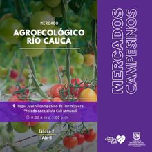 Lleg&oacute; la hora de apostar por lo org&aacute;nico, natural y fresco con nuestros mercados campesinos