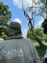 La oferta de servicios ambientales tambi&eacute;n tuvo su espacio en &lsquo;Gobierno al Barrio&rsquo;