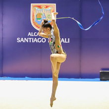 gimnasia artística y trampolín 5