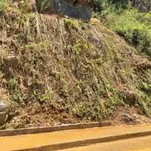 Remueven deslizamientos en zona rural de Cali