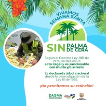 Vivamos Semana Santa sin Palma de Cera